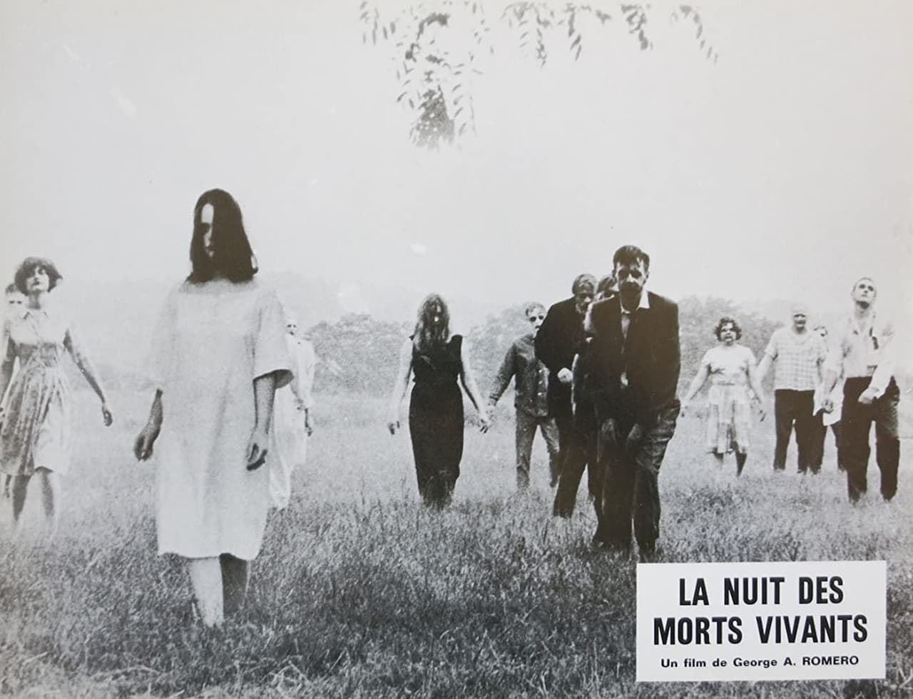 La Noche de los Muertos Vivientes (1968) - YouTube: Otro clásico de terror. Narra cómo un grupo de personas que están encerradas dentro de una granja pelean por sobrevivir a una horda de muertos que, por causas desconocidas, volvieron a la vida.