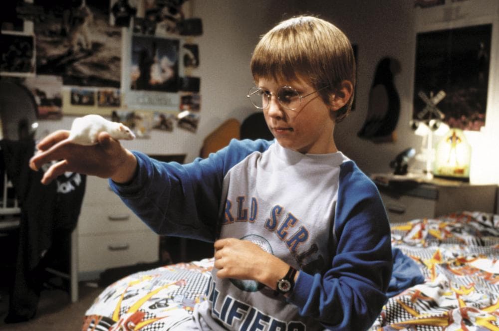 A pesar de que en la novela el personaje principal no tenía nombre, en la película se llama Luke, ¿será por Luke Skywalker?
