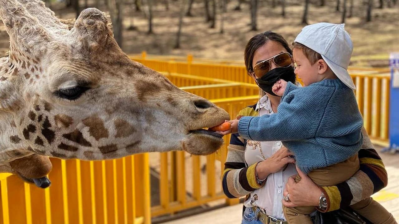 Así reaccionó el hijo de Mariana Echeverría al alimentar a una jirafa