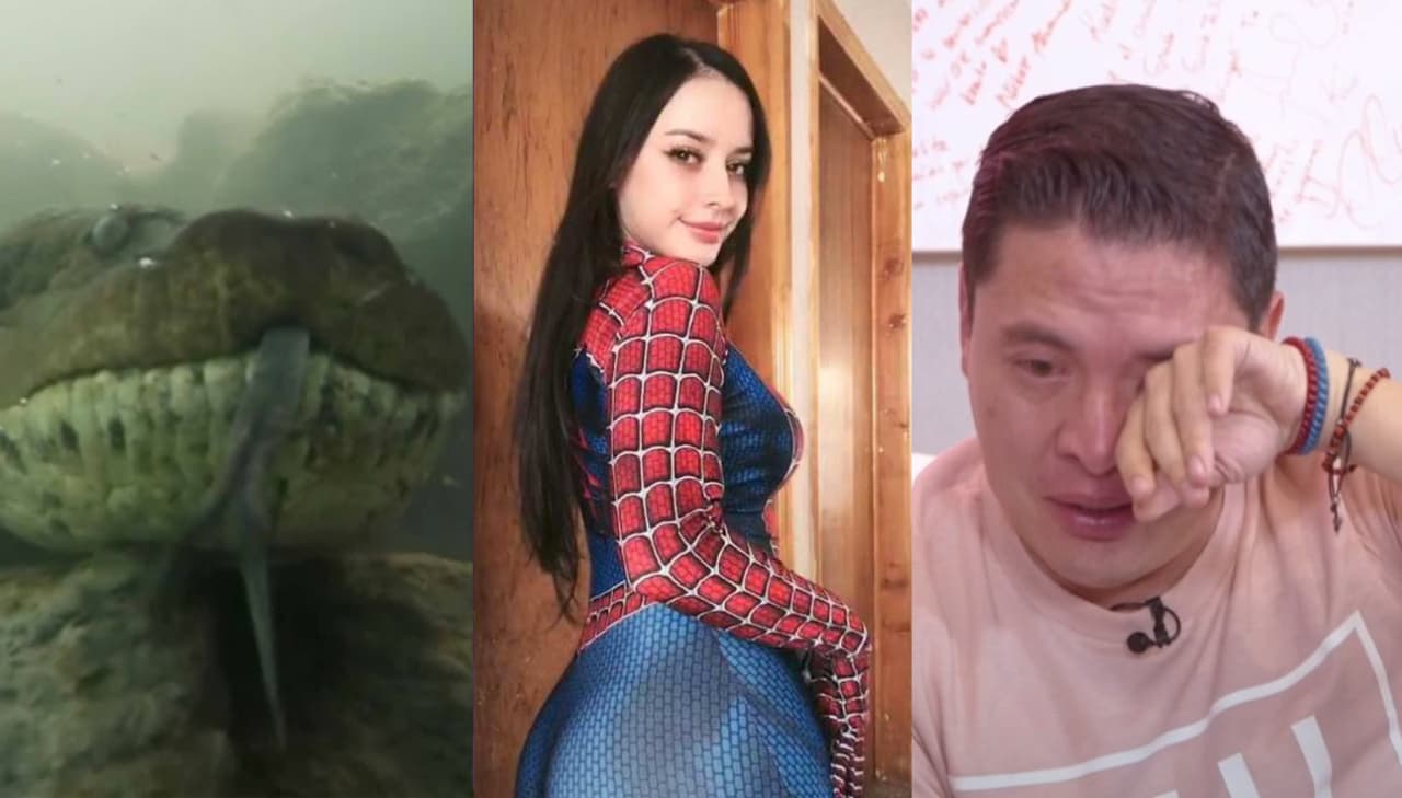 Chica Spidey, anacondas y Armando Hernández llorando: Las notas más leídas de Canal 5 en 2020