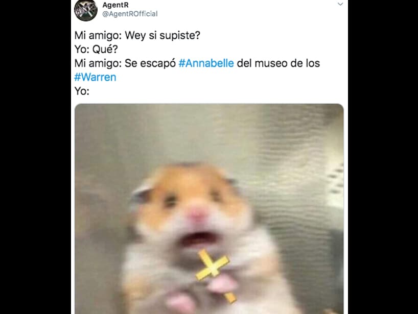 Annabelle se escapa del museo warren y supuestamente esta desaparecida ...