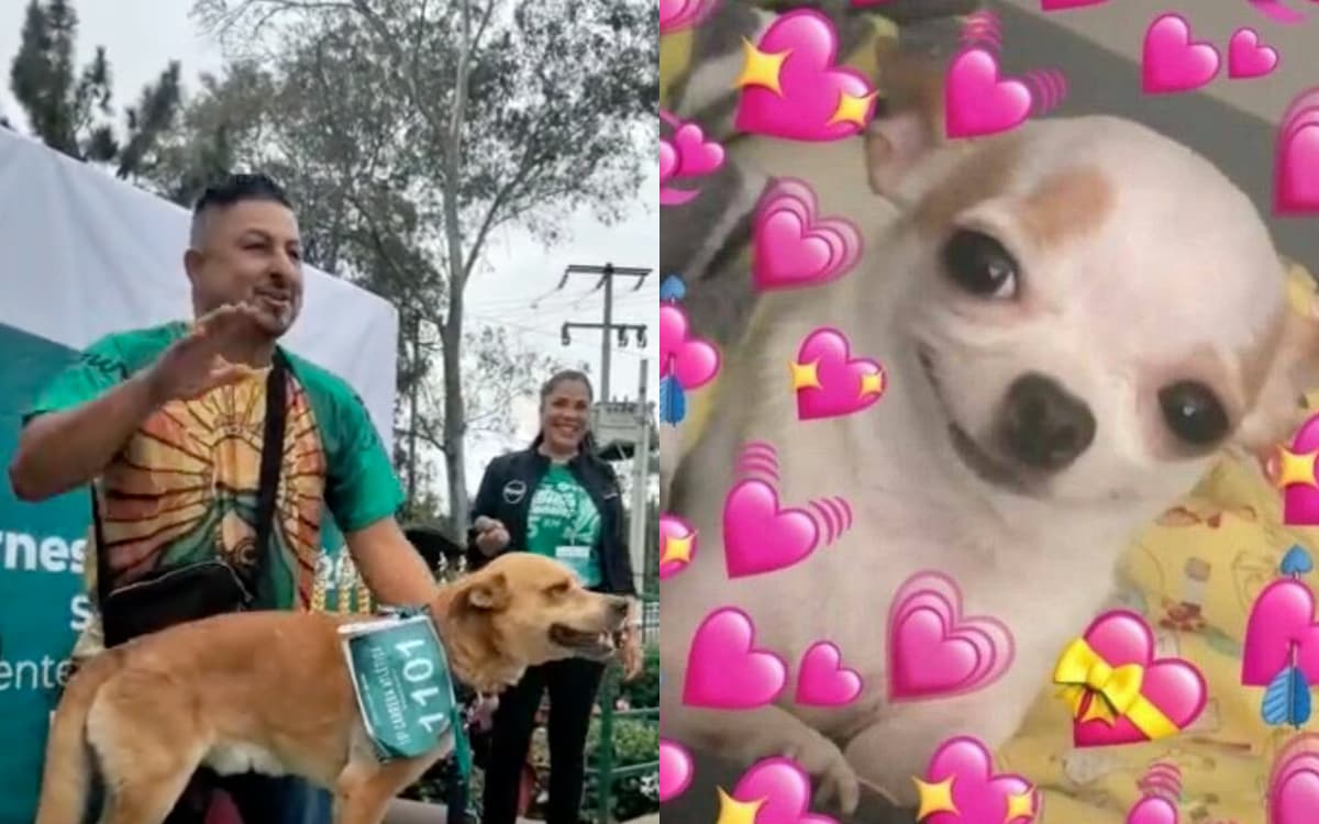 El perrito Chicles gana su primera carrera y así celebraron las redes