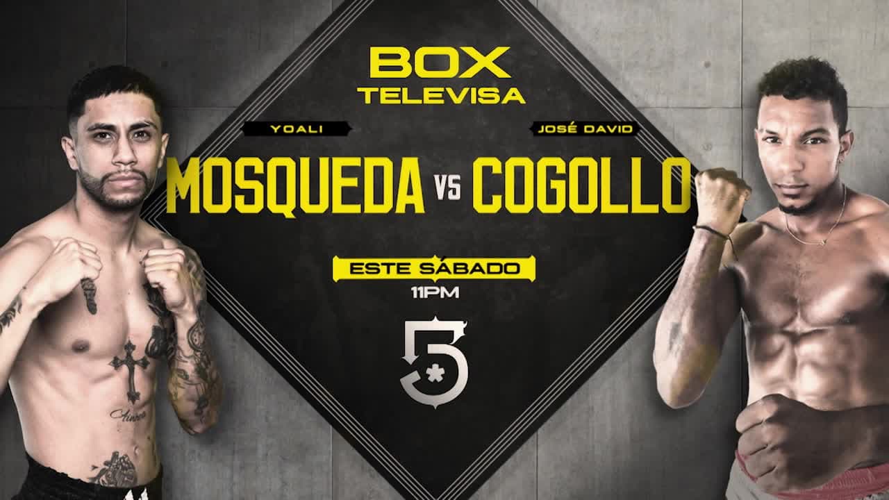 Yoali Mosqueda vs. David Cogollo: ¡Disfruta la pelea por El 5!