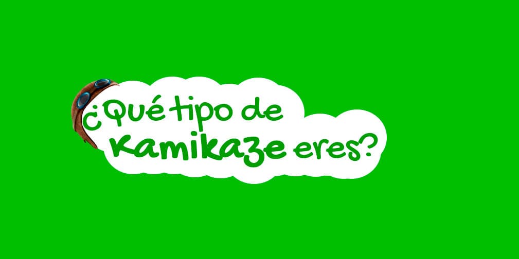 Kamicaras