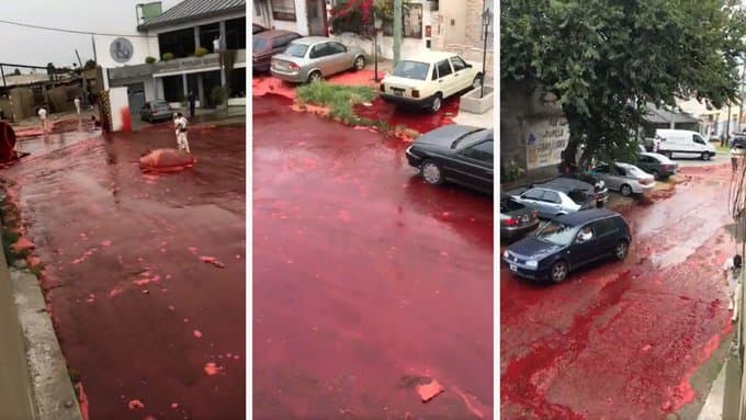 Un barrio entero se inundó de sangre y hay video