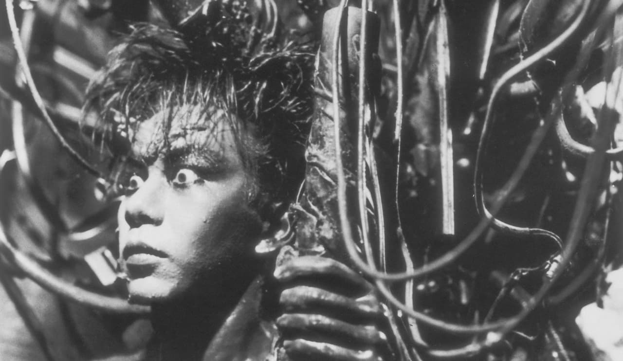 Tetsuo (1989): Era casi obligatorio que hubiera una película japonesa. El guionista y director Shinya Tsukamoto nos presenta un protagonista conocido como ”el fetichista de metales”, quien se clava pedazos de metal en el cuerpo, quien muere un día caundo lo atropella por accidente un hombre de negocios. El fetichista se venga convirtiendo lentamente al hombre en un grotesco híbrido de carne y metal oxidado.