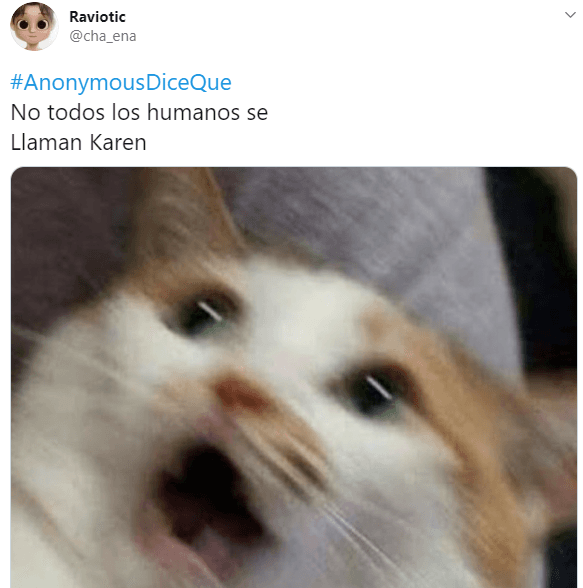 Los michis del mundo quedaron traumatizados con esta revelación.