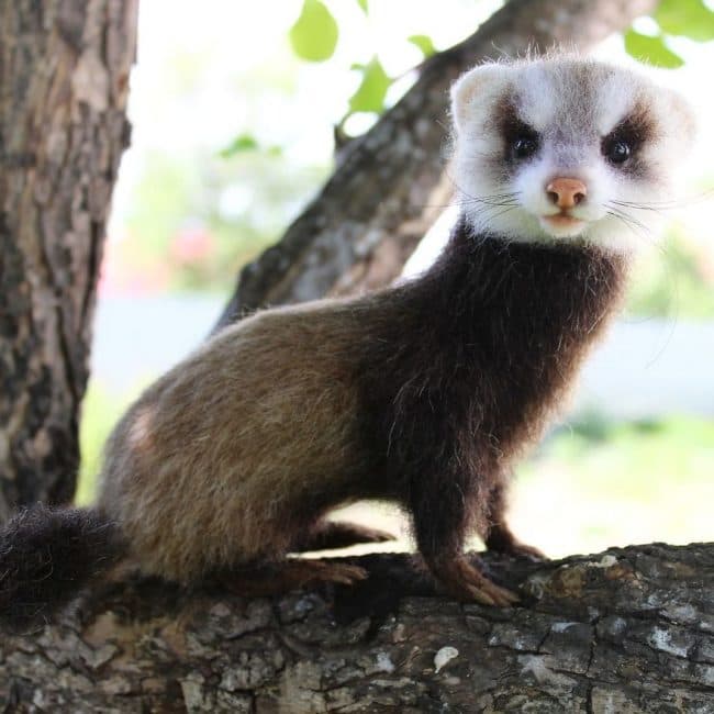 Las fotos que toma Derevschikova están ambientadas en la naturaleza en su mayoría.