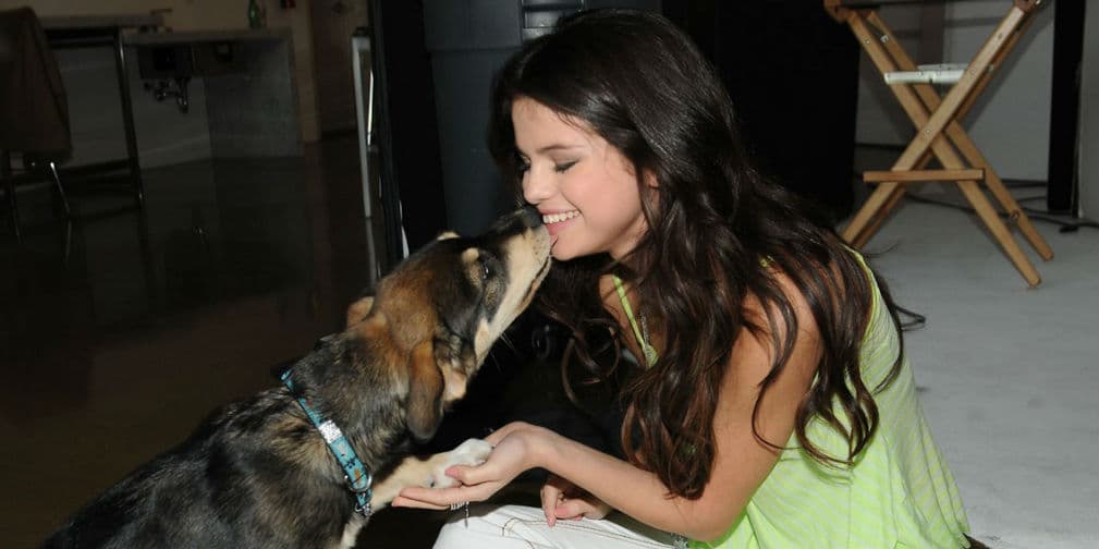 4. Selena Gomez: La cantante adoptó a Baylor con su ex novio Justin Bieber, al final ella se quedó con el perrito.