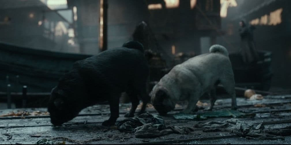 8. The Hobbit: The Desolation of Smaug: ¿Quién iba a decir que los Pugs ya existían en la Edad Media? Justo aparecen en el minuto 71 de la peli.