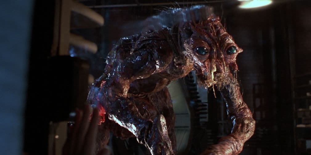 11. The Fly (1986): Un científico mezcla por error su ADN con el de una mosca con consecuencias mortales.