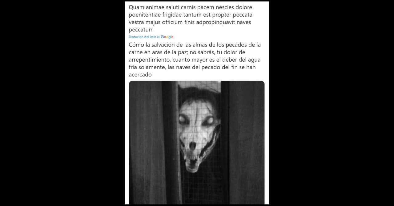 “Cómo la salvación de las almas de los pecados de la carne en aras de la paz; no sabrás, tu dolor de arrepentimiento, cuanto mayor es el deber del agua fría solamente, las naves del pecado del fin se han acercado”, se lee en este tuit.