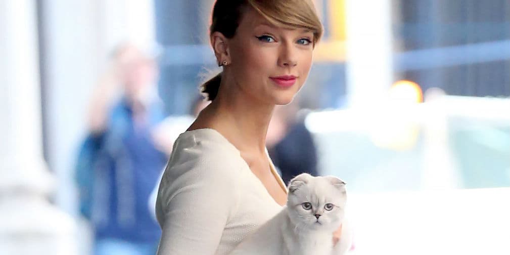 1. Taylor Swift: A la única que le ha sido fiel hasta ahora es a su gata Meredith, duró más que sus ex novios.