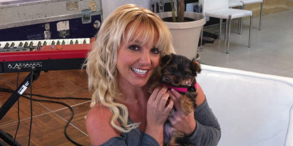 5. Britney Spears: Presentó a su bebita en Twitter a finales del año pasado. Hasta se parecen, ¿verdad?