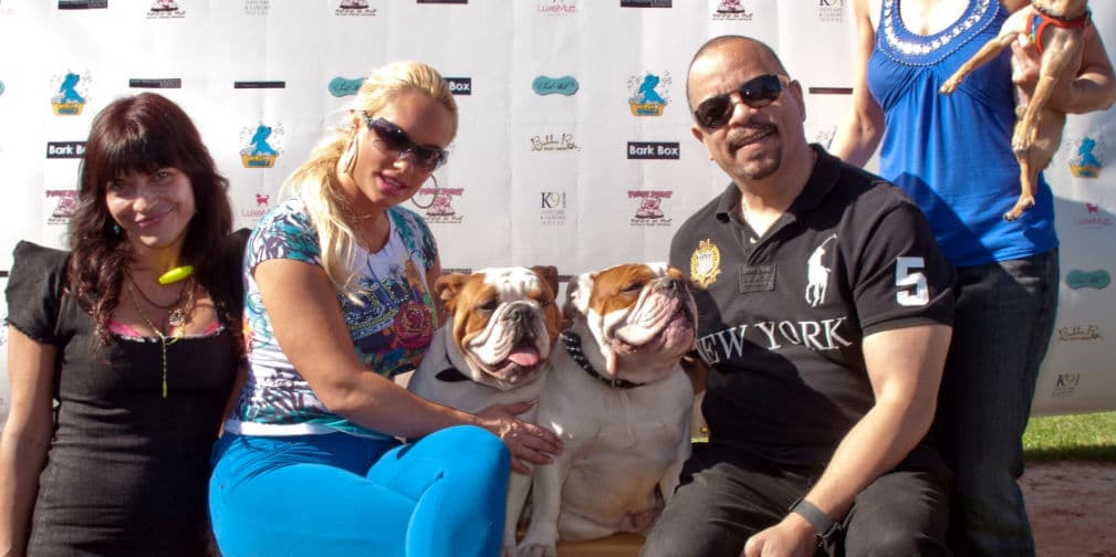 7. Ice T y Coco: El actor de Law and Order: Special Victims Unit y su esposa le buscan hogar a los perros.
