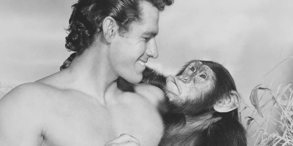4. Chita: Es el nombre del chimpancé que acompaña al personaje de Tarzán en casi todas sus películas.