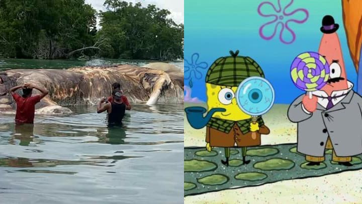 Cadáver de criatura misteriosa se vuelve a hacer viral en pleno 2021