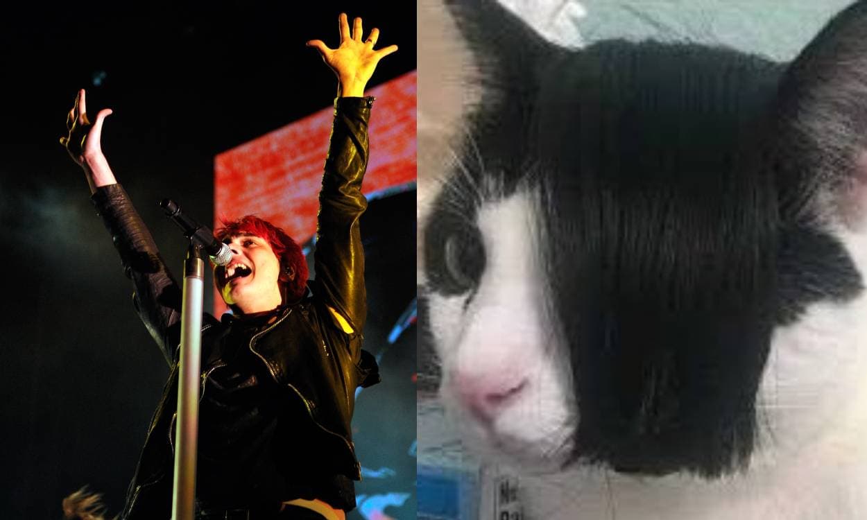 15 memes emo para celebrar el regreso de My Chemical Romance a México