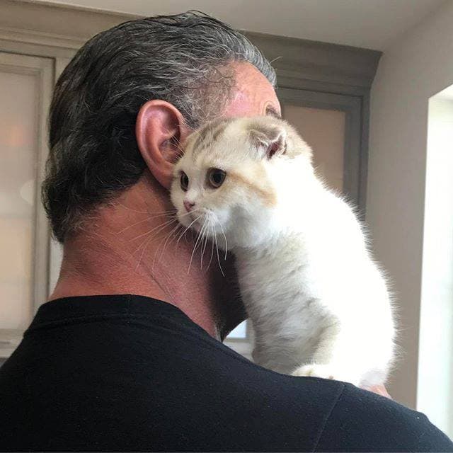 Pero siempre hay lugar para alguien más. El 16 de mayo de 2017 anunció que el nuevo miembro de la familia era MABEL, un michi de raza fold escocés.