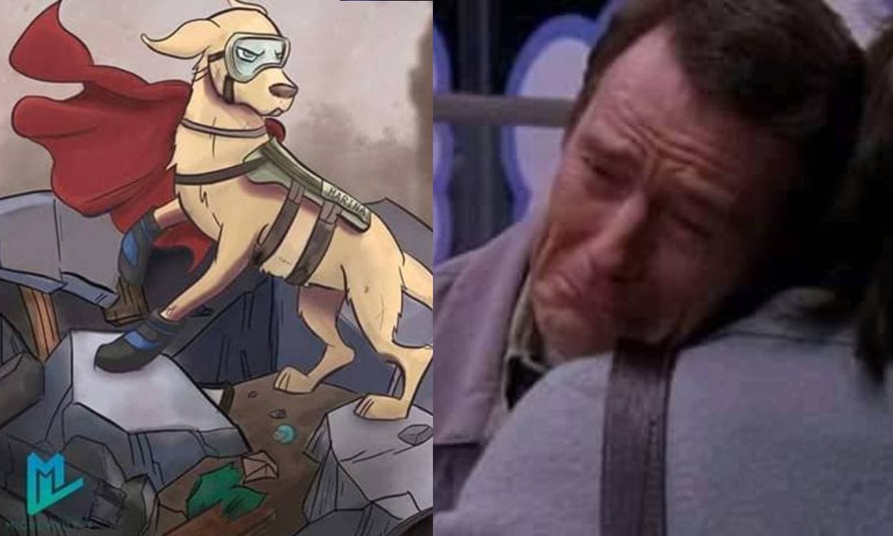 Así despidieron en redes a Frida, la perrita rescatista de la Marina