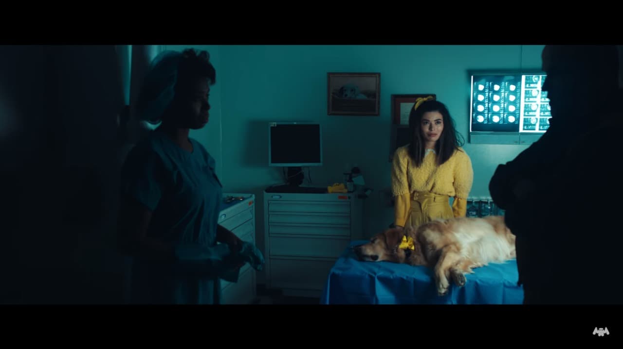 Checa la tierna y triste historia que protagoniza Miranda Cosgrove en 'Happier'