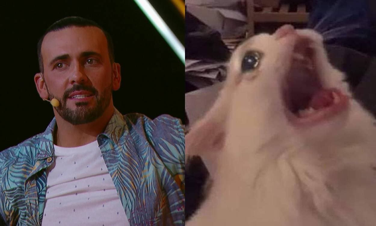Margaleff se va de Me Caigo de Risa y así reaccionaron sus fans en redes