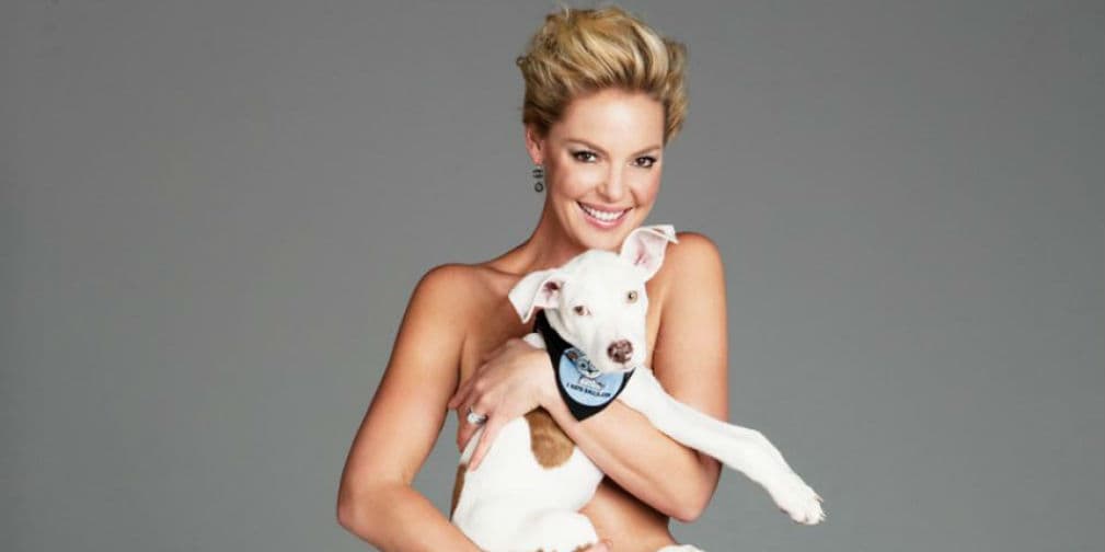 6. Katherine Heigl: Creó una fundación para rescatar a los perros callejeros, ella misma ¡adoptó ocho caninos!