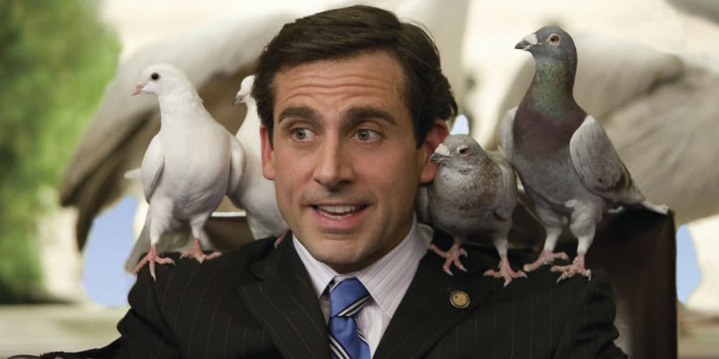 15. Steve Carell: Estudió en la Universidad de Denison, una especialidad en Historia.