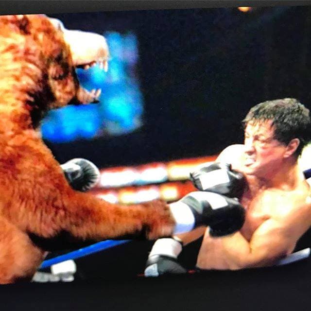 Y, bueno, también hace bromas como ésta: "Si te preguntas qué está haciendo Rocky últimamente con su tiempo libre... Desde que se retiró, consiguió un maravilloso trabajo de medio tiempo en el zoológico de la ciudad de Filadelfia, entrenando animales...".