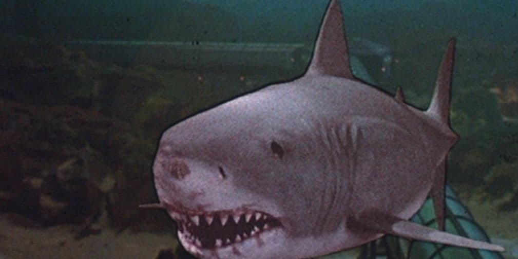 En 1983 los tiburones llegaron al cine en 3D, gracias a Jaws-3D, no hace falta decir que los efectos no fueron los mejores.