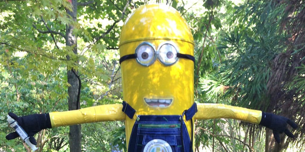 ¿Quién iba a decir que los minions de Mi Villano Favorito servirían como espantapájaros?