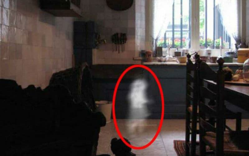Cuando tomaron esta foto el flash no funcionó, la segunda vez esto fue lo que apareció... ¡ay goe...!