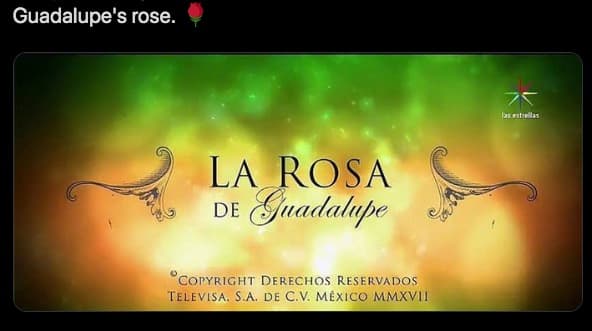 ¿Qué tal 'Guadalupe's Rose'? La versión en inglés de 'La rosa de guadalupe'.