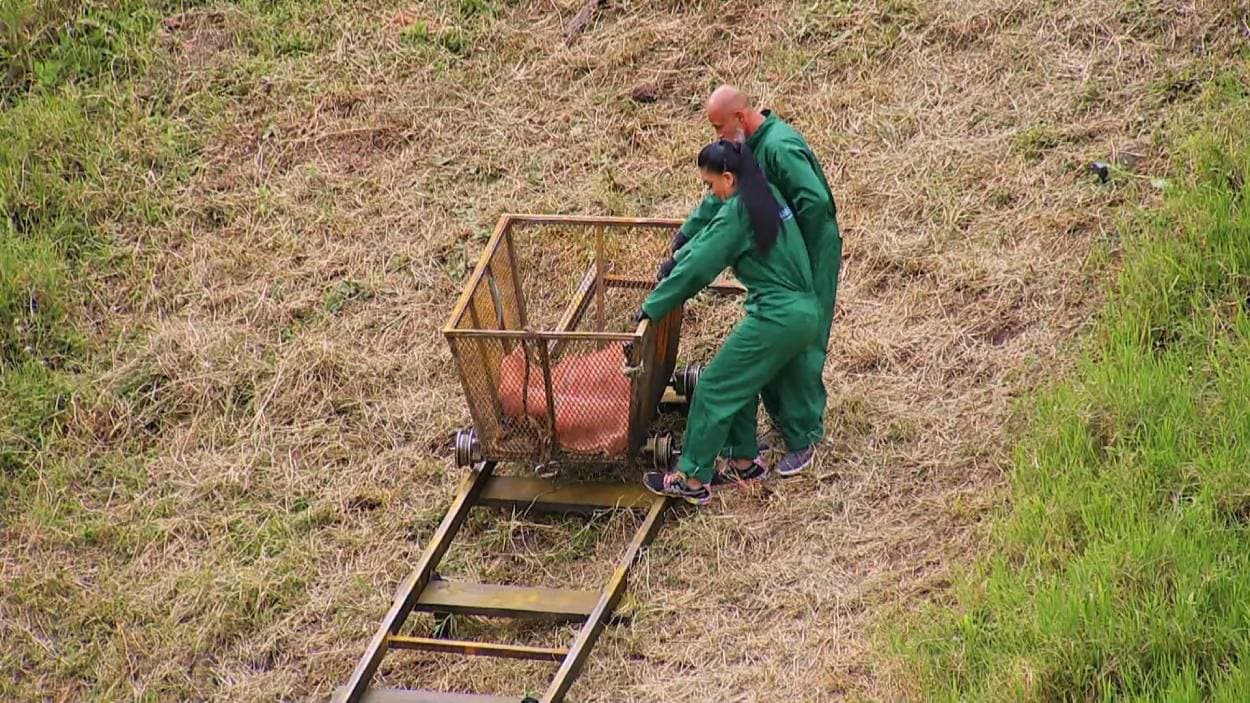 Wanders y Radamés en Inseparables 2021