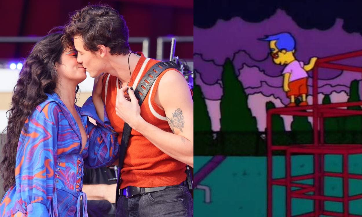 13 memes de la separación de Camila Cabello y Shawn Mendes