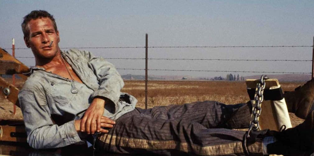 4. Paul Newman: Con 10,005,000 dólares creó una beca para el Kenyon Collage, su alma mater en Ohio.