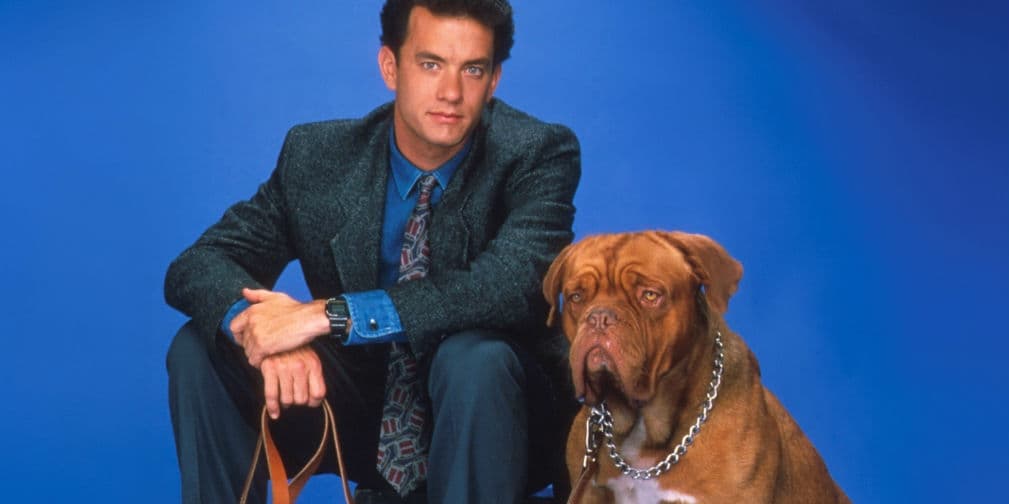 10. Hooch: El canino protagonista de Socios y Sabuesos, una divertida comedia con Tom Hanks. ¡Qué lindo!