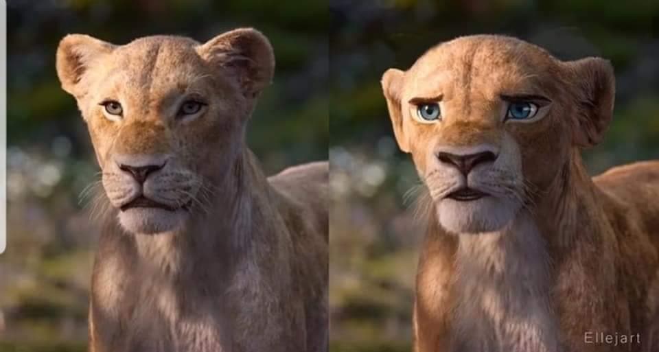 La diferencia en las expresiones faciales también es muy evidente.