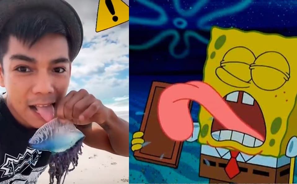 ¿Mil maneras de morir? Tiktoker lame animal sin saber que es de los más venenosos