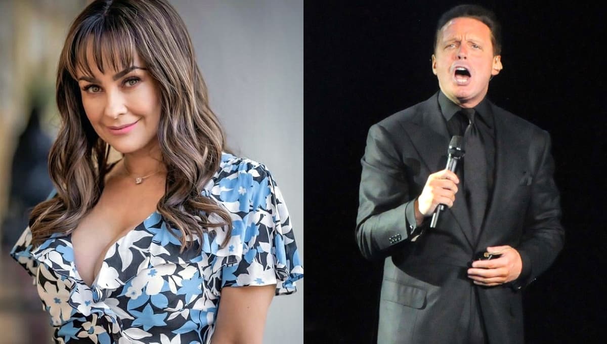 Aracely Arámbula: ¿qué canción le dedicó Luis Miguel durante un concierto?