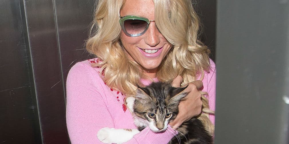 9. KeSha: La cantante está obsesionada con los gatos, además promueve el uso de cosméticos no probados en animales.