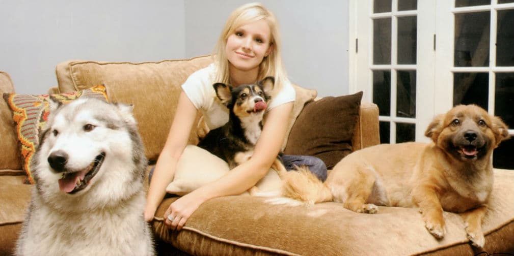5. Kristen Bell: Nombrada por PETA la Vegetariana Más Sexy del 2006, también está en contra de las pruebas en animales.