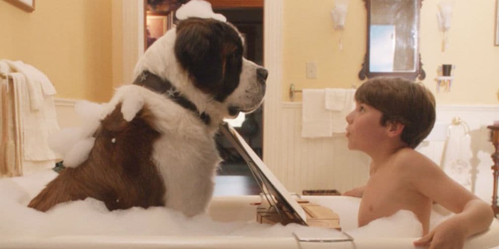2. Beethoven: San Bernardo protagonizó está película de 1992, todo un clásico de la familia estadounidense.