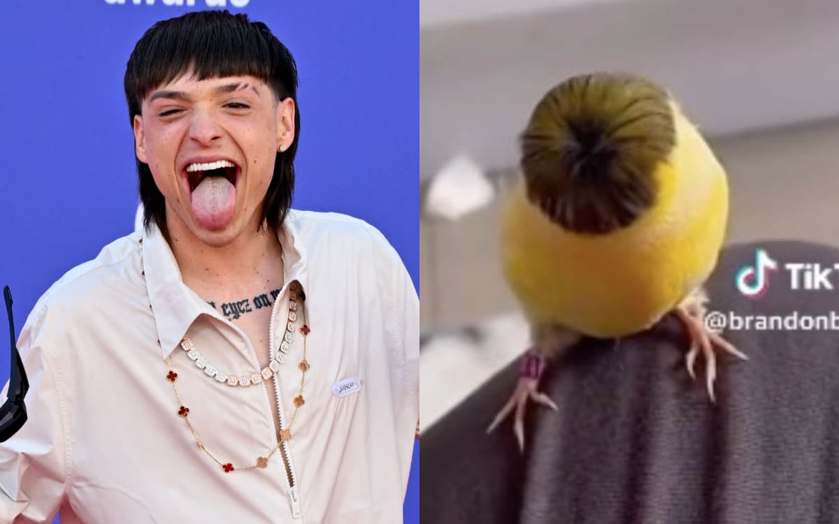 ¿Peso Pluma o Anuel? El corte de este pollito 'tumbado' enloquece Internet