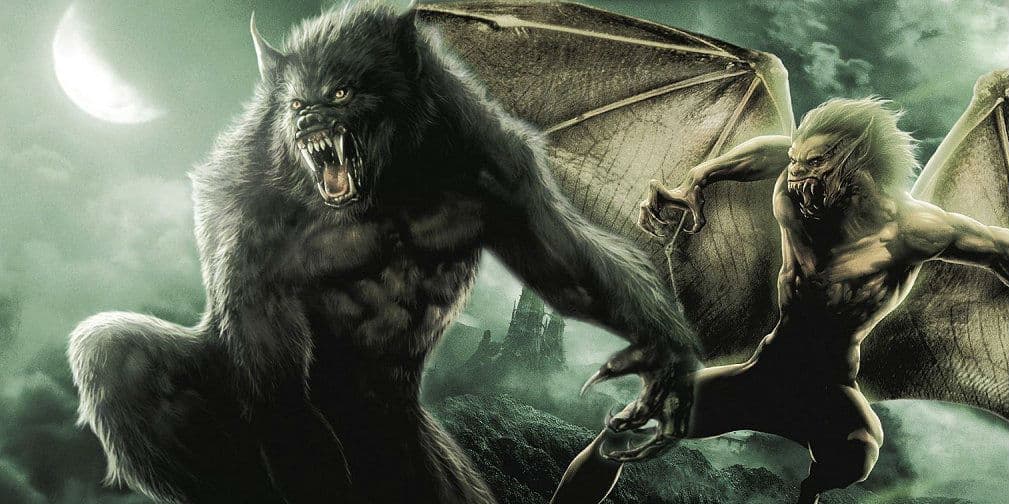 9. No se enferman. Los rayos UV no son tan dañinos si se tiene un cuerpo velludo, los protege...