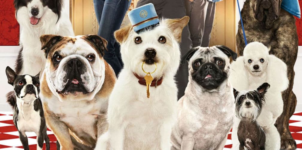 3. Hotel para Perros: Emma Roberts tiene que cuidar de muchos huéspedes de 4 patas, entre ellos un Pug.