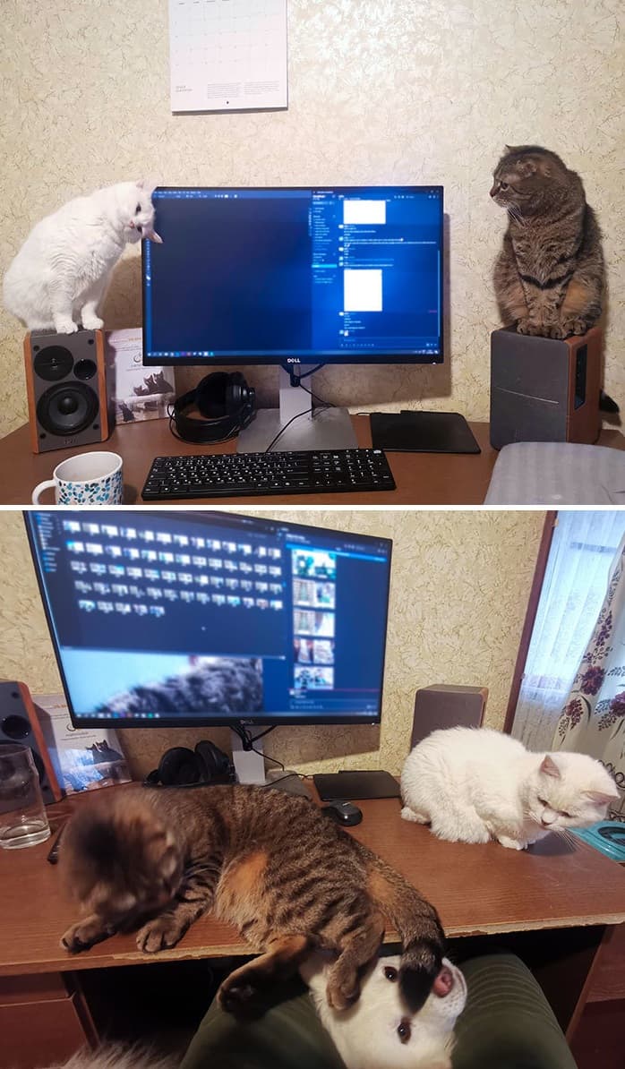 Este gran equipo técnico está al pendiente ante cualquier incidente.