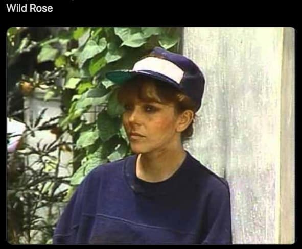 'Rosa salvaje' para México, 'Wild rose' para los gringos.