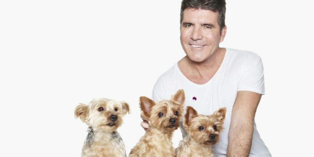 4. Simon Cowell: El malo de American Idol trabaja con PETA en contra de la crueldad hacia los animales.