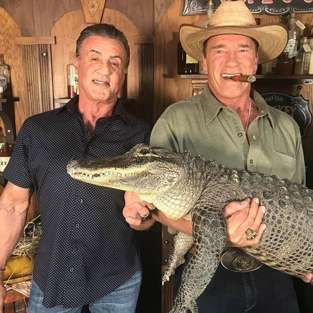 Arnold Schwarzenegger, Sylvester Stallone y un cocodrilón. El ex gobernador le mostró su amigo al nominado al Oscar. La foto fue de una recaudación de fondos para niños que hizó Schwarzenegger.